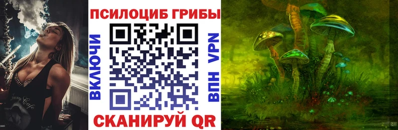 Псилоцибиновые грибы Psilocybine cubensis  купить   Монино 